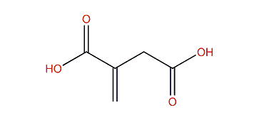 2-Methylenesuccinic acid